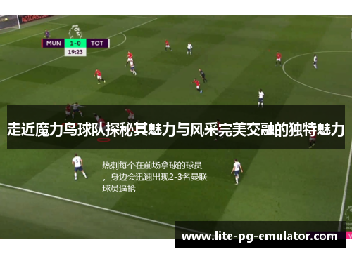 走近魔力鸟球队探秘其魅力与风采完美交融的独特魅力 走近魔力鸟球队探秘其魅力与风采完美交融的独特魅力