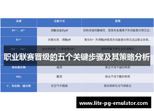 职业联赛晋级的五个关键步骤及其策略分析