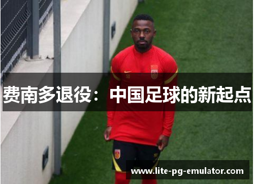 费南多退役：中国足球的新起点