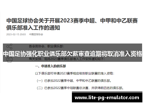 中国足协强化职业俱乐部欠薪审查逾期将取消准入资格